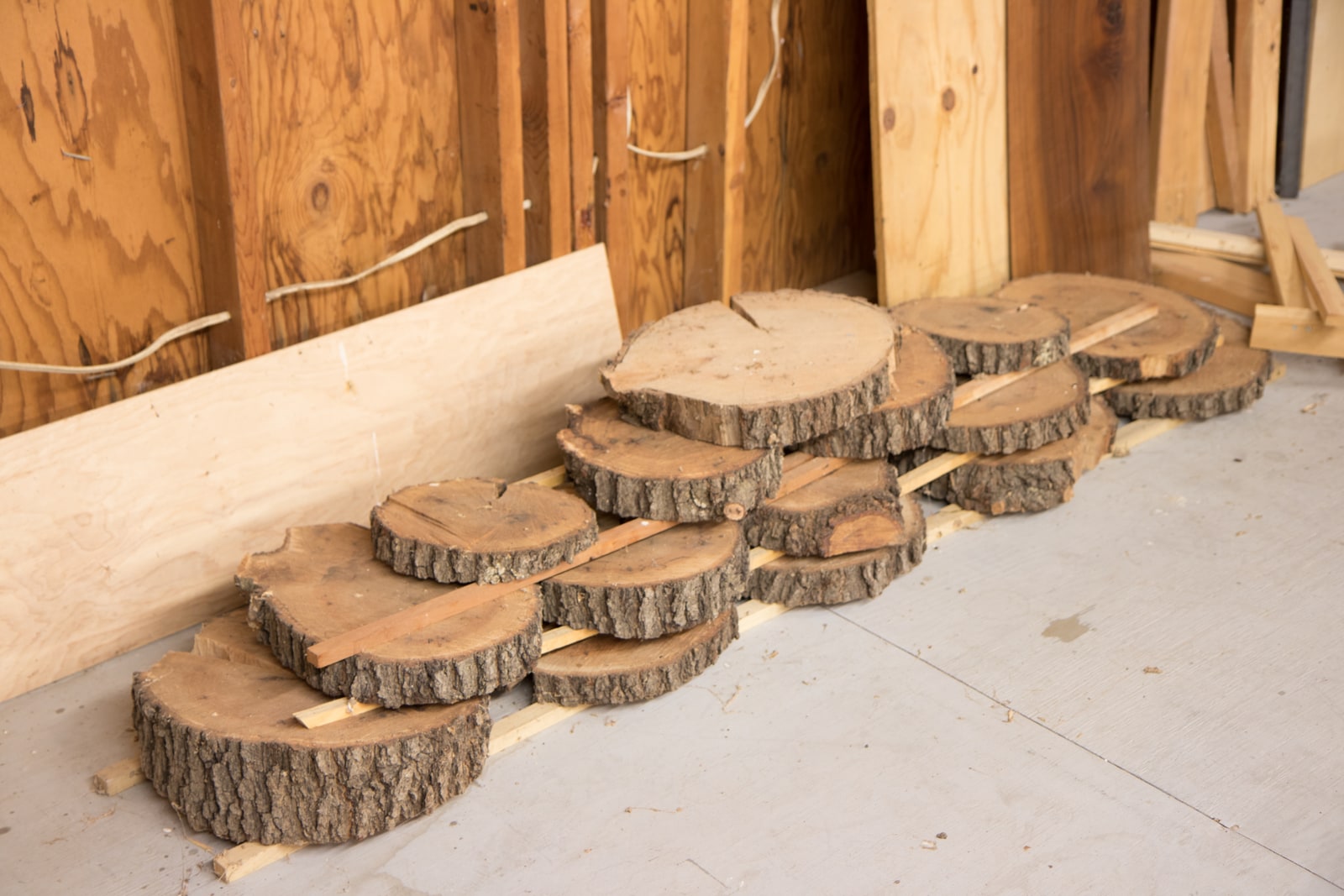 Oak cross-sections stacked and drying in the studio before carving