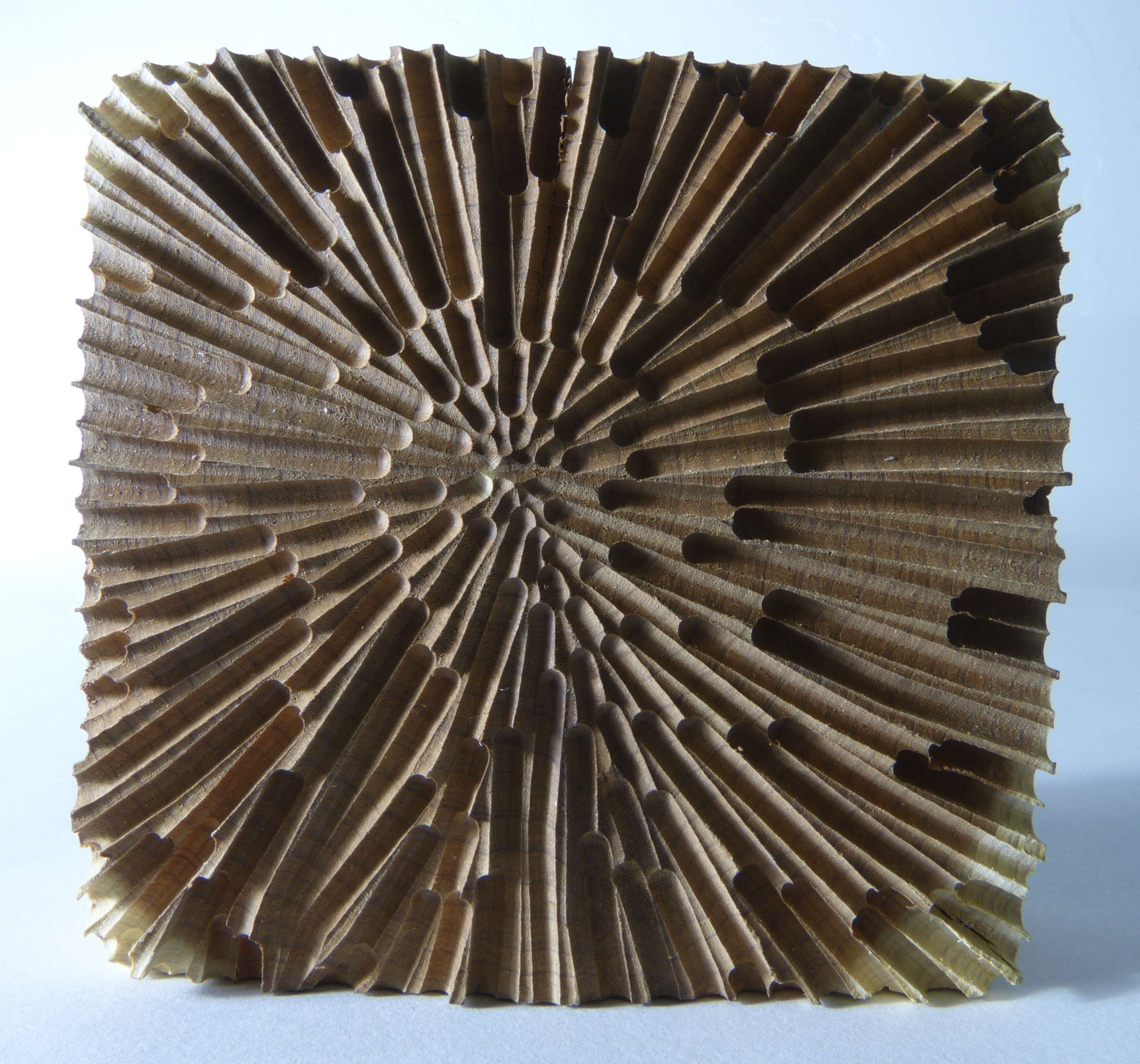 Earlier carved red cedar block with radial grain paths — maquette for Gradient of Grain