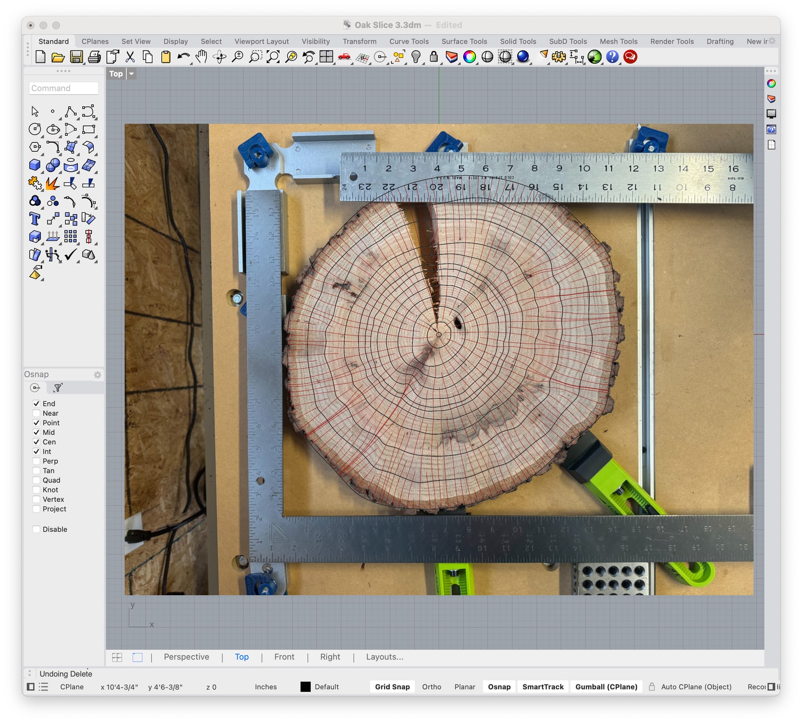 Computed gradient paths shown in red overlaid on the wood in Rhino